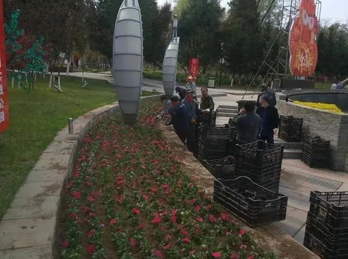 城市建設(shè)中心 全力推進春季園林綠化工作