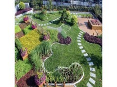 道路綠化工程施工/園林綠化工程報(bào)價(jià)/四川綠化工程公司