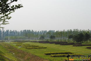 北京市2010年度園林綠化優(yōu)質(zhì)工程開評