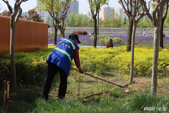 市政園林景觀綠化工程施工流程注意事項和樹種選擇