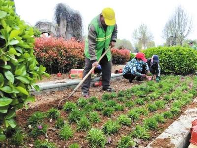趙苑公園積極開展春季綠化