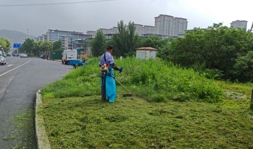 港溝綠化所 扎實做好夏季園林綠化養(yǎng)護(hù)工作