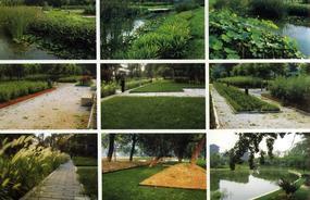 各種綠化、景觀鋪裝工程的設(shè)計與施工,園林綠化工程的養(yǎng)護(hù);園林綠化苗木、草皮、花卉的種植,銷售(廣西南寧)_CO土木在線