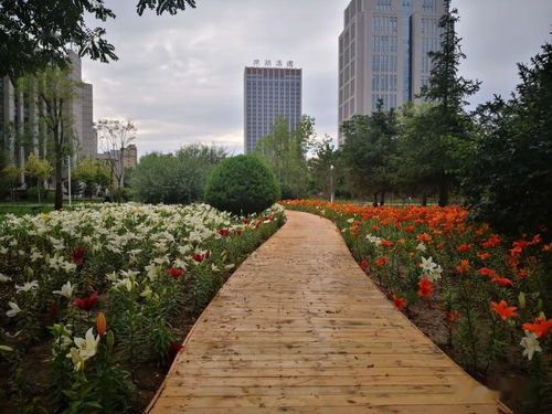 精心實施園林綠化建設(shè)工程 著力提升市民獲得感幸福感