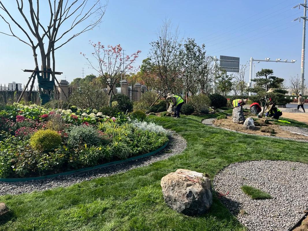 園林綠化工程 #施工現(xiàn)場實拍