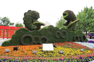 美 今年城區實施園林綠化工程15項,這些地方風景如畫