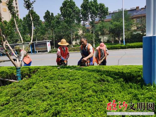 高新區(qū) 創(chuàng)建全國文明城市,園林人在行動(dòng)