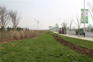 查漏補(bǔ)缺 ,讓環(huán)境景觀更綠色 更自然