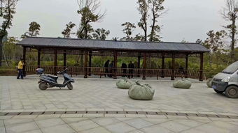 生態木花架與體育場地設施工程施工 價格、耐用性與施工指南