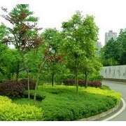 重慶市飛揚景觀園林設計建設與園林綠化工程施工