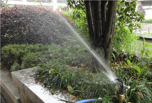 昆明考綠化工證及體育場地設(shè)施工程施工指南 難度、費(fèi)用與準(zhǔn)入解析