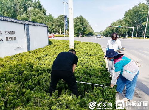 青州市園林綠化和環(huán)衛(wèi)中心 卡準(zhǔn)綠化施工精度尺，拉緊項(xiàng)目驗(yàn)收質(zhì)量繩——以高標(biāo)準(zhǔn)打造體育場(chǎng)地設(shè)施工程