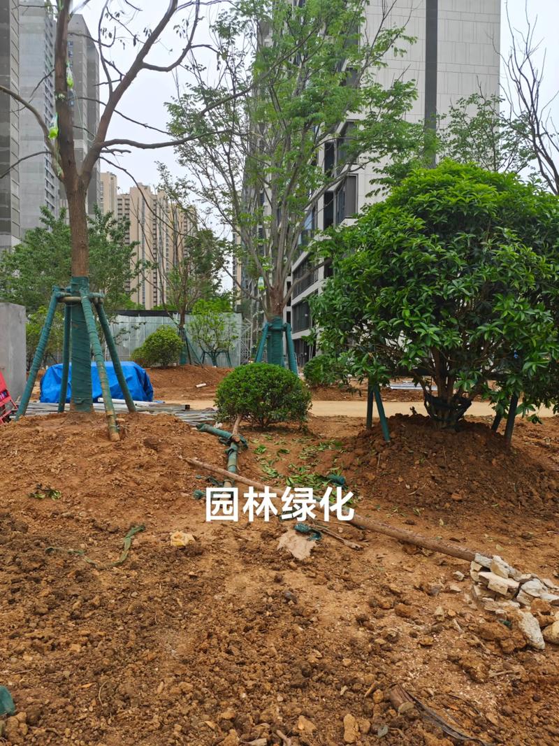 光谷中央公園體育場(chǎng)地設(shè)施工程建設(shè)提速，綠色生態(tài)與全民健身協(xié)同發(fā)展