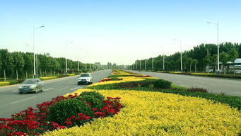 綠動(dòng)磁州，健行未來(lái) 八項(xiàng)重點(diǎn)工程繪就園林縣城新畫(huà)卷