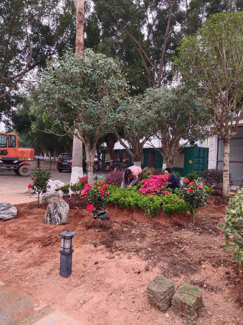 雙輪驅(qū)動(dòng)城市活力 園林綠化與體育場地設(shè)施工程施工要點(diǎn)探析